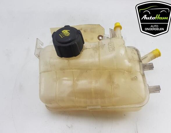 Coolant Expansion Tank RENAULT GRAND SCÉNIC III (JZ0/1_)