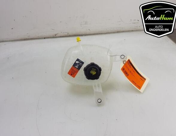 Coolant Expansion Tank NISSAN QASHQAI III (J12)