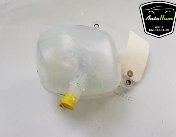 Coolant Expansion Tank NISSAN QASHQAI III (J12)