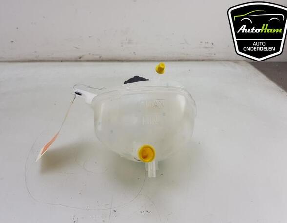 Coolant Expansion Tank NISSAN QASHQAI III (J12)