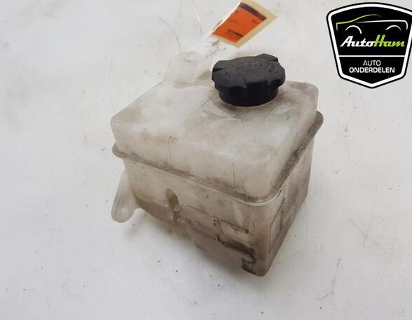 Coolant Expansion Tank HYUNDAI i20 (PB, PBT)