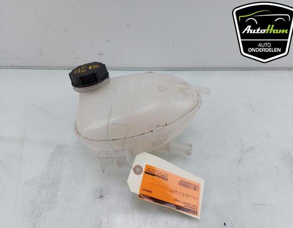 Coolant Expansion Tank FORD FIESTA VII (HJ, HF), FORD PUMA (J2K, CF7), FORD ECOSPORT