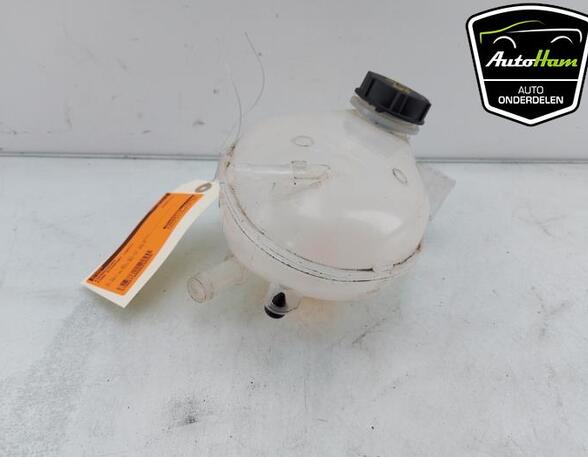 Coolant Expansion Tank FORD FIESTA VII (HJ, HF), FORD PUMA (J2K, CF7), FORD ECOSPORT