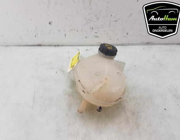 Coolant Expansion Tank FORD FIESTA VII (HJ, HF), FORD PUMA (J2K, CF7), FORD ECOSPORT