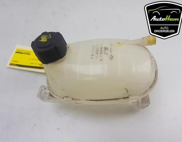 Coolant Expansion Tank RENAULT CAPTUR II (HF_), RENAULT CLIO V (B7_), DACIA SANDERO III