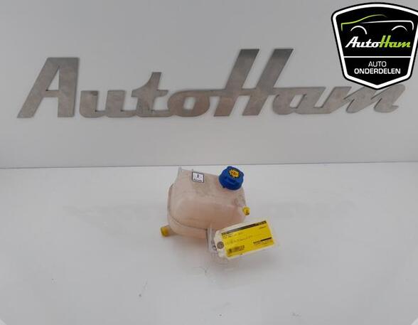 Coolant Expansion Tank OPEL COMBO Box Body/MPV (X12), FIAT DOBLO Cargo (263_), FIAT DOBLO Platform/Chassis (263_)