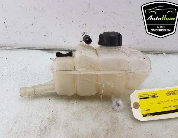 Coolant Expansion Tank RENAULT MEGANE IV Hatchback (B9A/M/N_), RENAULT TALISMAN (LP_)