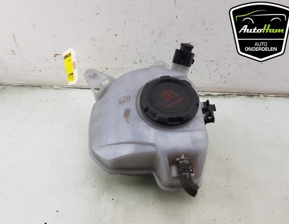 Coolant Expansion Tank VW POLO (AW1, BZ1), SEAT IBIZA V (KJ1, KJG), SKODA SCALA (NW1), VW T-CROSS (C11_)