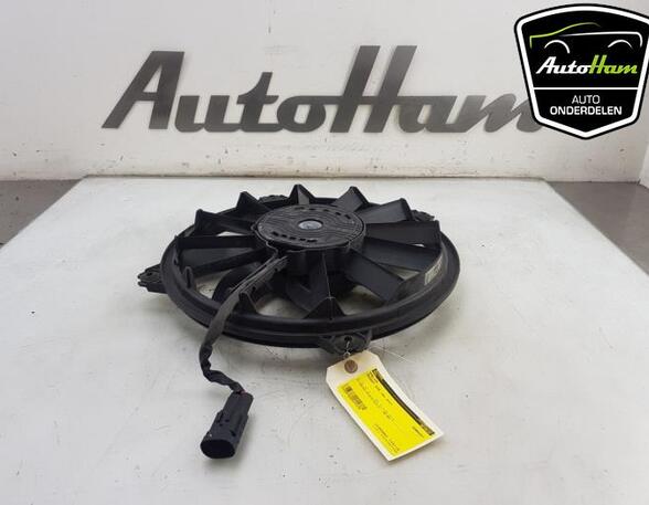 Radiator Electric Fan  Motor CITROËN C4 II (B7)