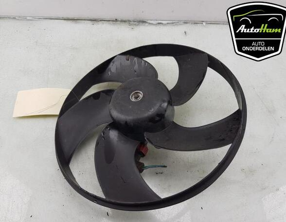 Radiator Electric Fan  Motor PEUGEOT 206 Hatchback (2A/C), PEUGEOT 206 Saloon