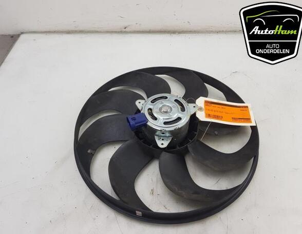 Radiator Electric Fan  Motor RENAULT CAPTUR I (J5_, H5_), RENAULT CLIO IV (BH_)