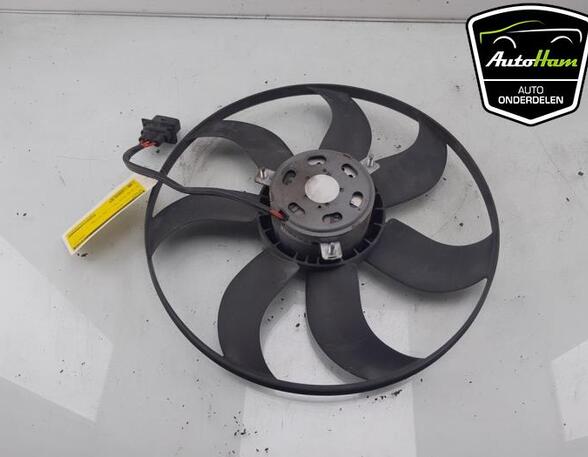 Radiator Electric Fan  Motor SEAT IBIZA IV ST (6J8, 6P8), VW POLO (6R1, 6C1), VW POLO Van (6R), SKODA FABIA III Estate (NJ5)