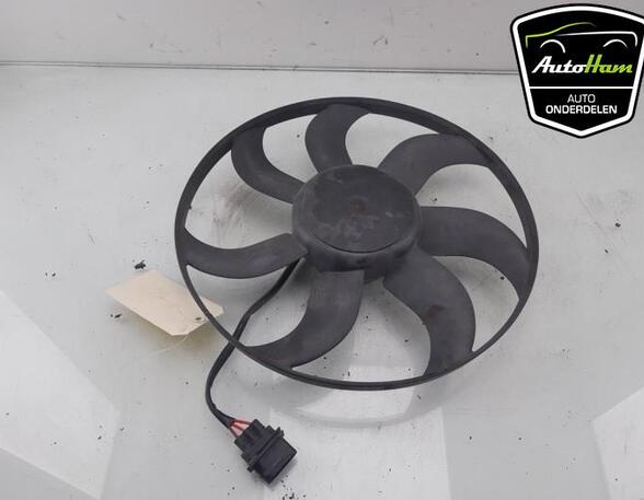 Radiator Electric Fan  Motor SEAT IBIZA IV ST (6J8, 6P8), VW POLO (6R1, 6C1), VW POLO Van (6R), SKODA FABIA III Estate (NJ5)