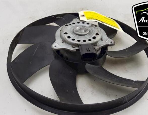 Radiator Electric Fan  Motor PEUGEOT 207 (WA_, WC_), PEUGEOT 2008 I (CU_), PEUGEOT 207 SW (WK_), PEUGEOT 208 I (CA_, CC_)