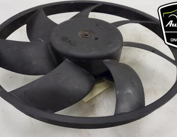 Radiator Electric Fan  Motor PEUGEOT 207 (WA_, WC_), PEUGEOT 2008 I (CU_), PEUGEOT 207 SW (WK_), PEUGEOT 208 I (CA_, CC_)