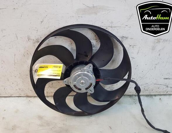 Radiator Electric Fan  Motor CITROËN BERLINGO Box Body/MPV (K9), PEUGEOT PARTNER Box Body/MPV (K9)