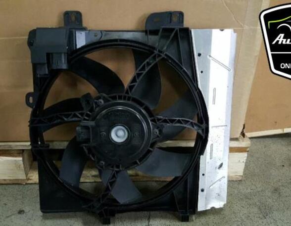 Radiator Electric Fan  Motor CITROËN C3 II (SC_), PEUGEOT 207 CC (WD_), PEUGEOT 207 (WA_, WC_)