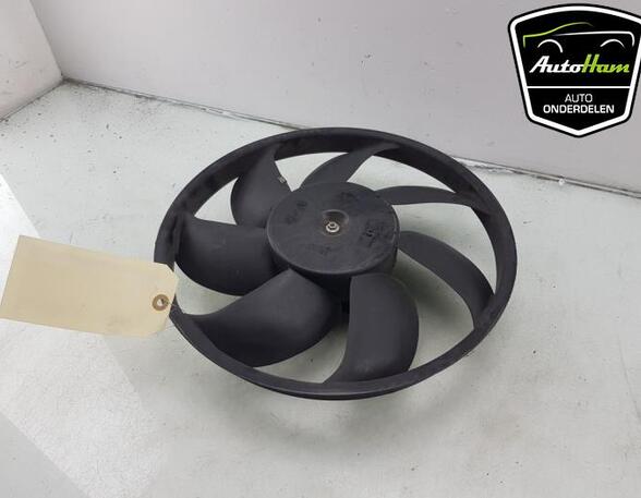 Radiator Electric Fan  Motor FORD FIESTA VI (CB1, CCN)