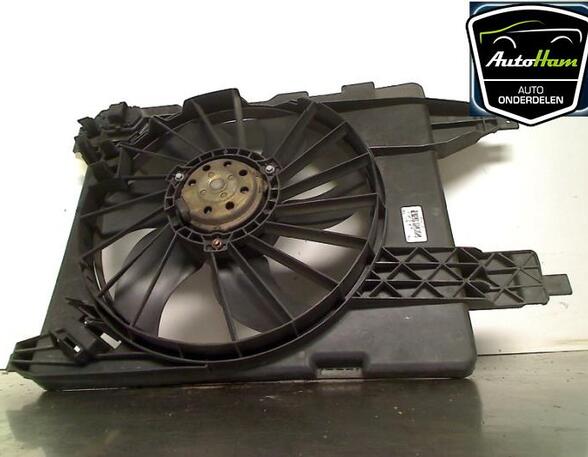 Radiator Electric Fan  Motor RENAULT GRAND SCÉNIC II (JM0/1_), RENAULT SCÉNIC II (JM0/1_), RENAULT MEGANE II (BM0/1_, CM0/1_)