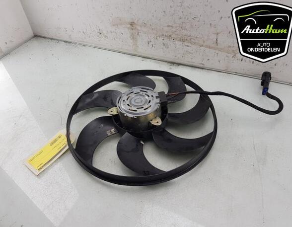 Radiator Electric Fan  Motor OPEL MOKKA, PEUGEOT 2008 II (UD_, US_, UY_, UK_), OPEL CORSA F (P2JO)