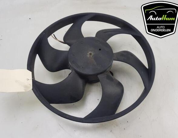 Radiator Electric Fan  Motor RENAULT CLIO III (BR0/1, CR0/1)