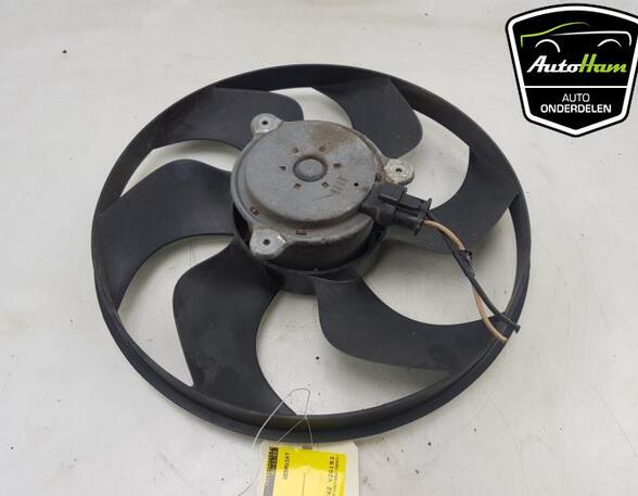 Radiator Electric Fan  Motor RENAULT CLIO III (BR0/1, CR0/1)