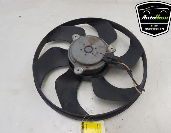 Radiator Electric Fan  Motor RENAULT CLIO III (BR0/1, CR0/1)