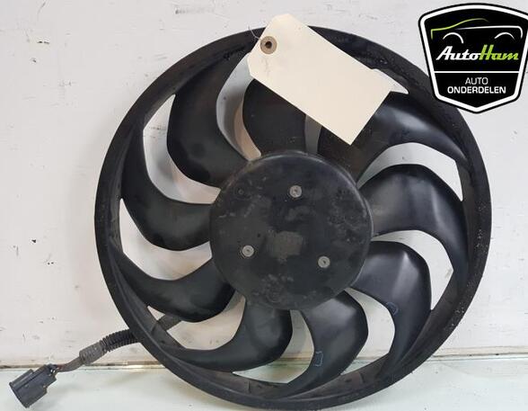 Radiator Electric Fan  Motor TESLA MODEL 3 (5YJ3)