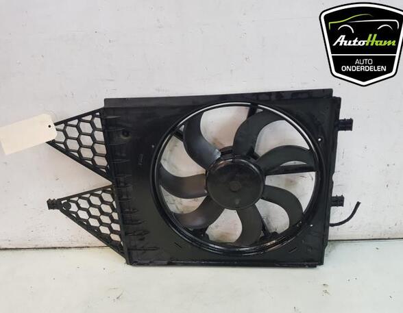 Radiator Electric Fan  Motor SEAT IBIZA IV ST (6J8, 6P8), VW POLO (6R1, 6C1), VW POLO Van (6R), AUDI A1 (8X1, 8XK)