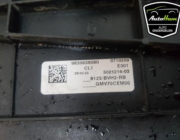 Radiator Electric Fan  Motor PEUGEOT 308 SW II (LC_, LJ_, LR_, LX_, L4_)