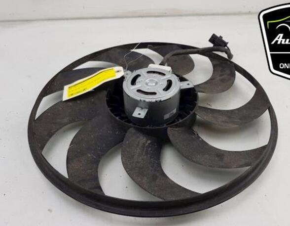 Radiator Electric Fan  Motor BMW 1 (F20), BMW 3 (F30, F80), BMW 1 (F21)