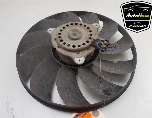 Radiator Electric Fan  Motor FIAT PANDA (169_)