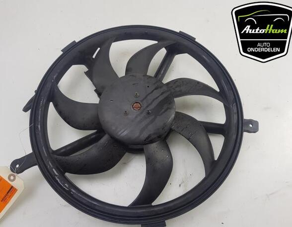 Radiator Electric Fan  Motor MINI MINI COUNTRYMAN (R60), MINI MINI (R56)