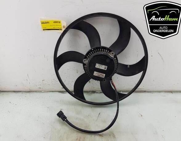 Radiator Electric Fan  Motor BMW 3 Coupe (E92), BMW 3 (E90), BMW 3 Touring (E91)