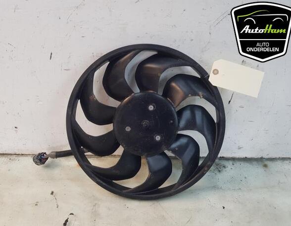 Radiator Electric Fan  Motor TESLA MODEL 3 (5YJ3)