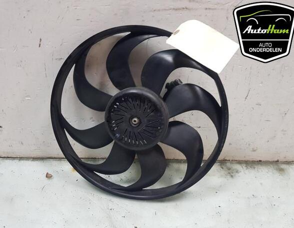 Radiator Electric Fan  Motor FORD GALAXY (WA6), FORD S-MAX (WA6), FORD MONDEO IV Turnier (BA7)