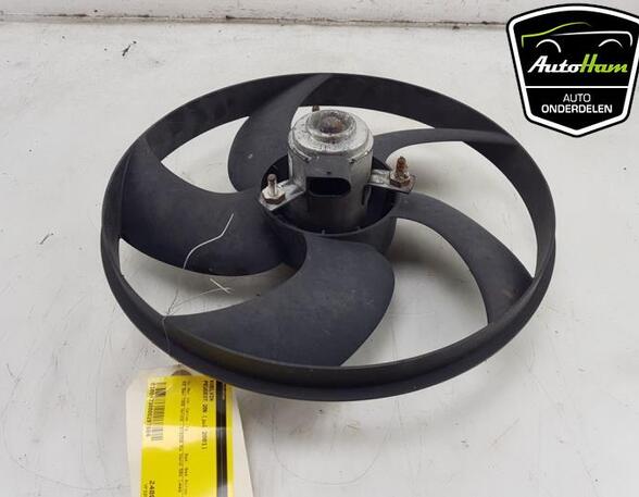 
Elektrolüfter Peugeot 206 Schrägheck 2A/C 125383 P21693506
