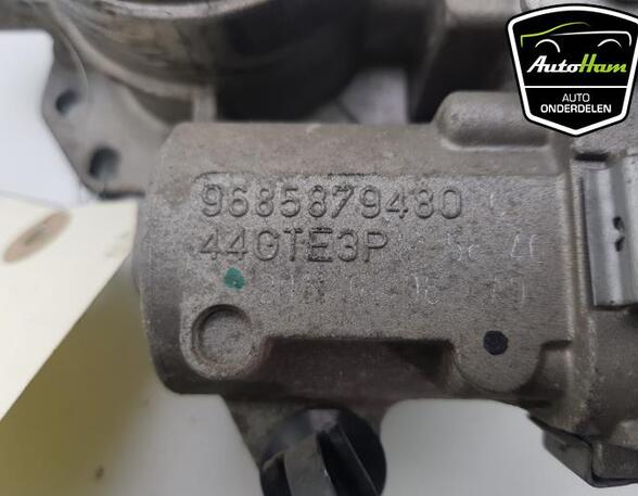 Throttle Body CITROËN C3 II (SC_), PEUGEOT 206+ (2L_, 2M_)