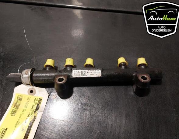 Petrol Fuel Rail FORD FIESTA VI (CB1, CCN), VOLVO S40 II (544), PEUGEOT 2008 I (CU_), VOLVO V40 Hatchback (525, 526)