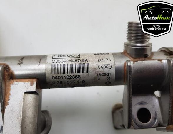 Petrol Fuel Rail FORD FIESTA VI (CB1, CCN), FORD FOCUS III Saloon