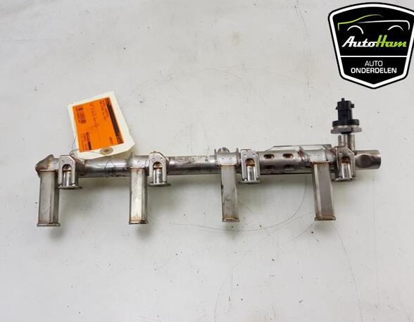 Petrol Fuel Rail FORD FIESTA VI (CB1, CCN), FORD FOCUS III Saloon