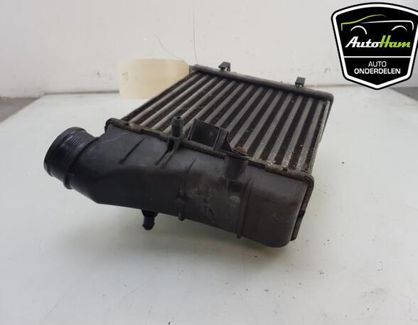 Intercooler AUDI A4 Avant (8ED, B7), AUDI A4 (8EC, B7)