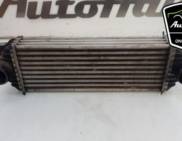 Intercooler FORD TRANSIT CONNECT (P65_, P70_, P80_), FORD TRANSIT CUSTOM V362 Van (FY, FZ)