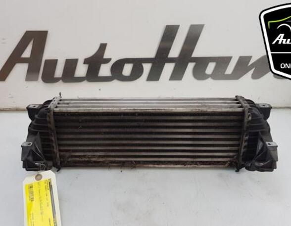 Intercooler FORD TRANSIT CONNECT (P65_, P70_, P80_), FORD TRANSIT CUSTOM V362 Van (FY, FZ)