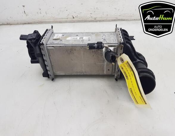 Intercooler VW POLO (AW1, BZ1), AUDI A3 Sportback (8YA), SEAT IBIZA V (KJ1, KJG)