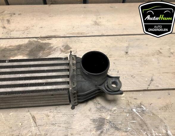 Intercooler MINI MINI (R56)