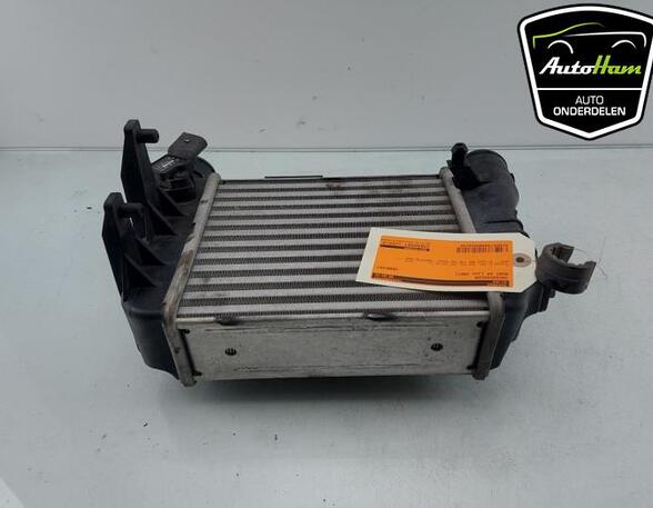 Intercooler AUDI A4 B7 Convertible (8HE), AUDI A4 (8E2, B6), AUDI A4 (8EC, B7)