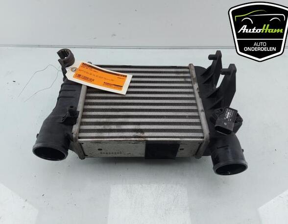 Interkoeler tussenkoeler AUDI A4 B7 Convertible (8HE), AUDI A4 (8E2, B6), AUDI A4 (8EC, B7)