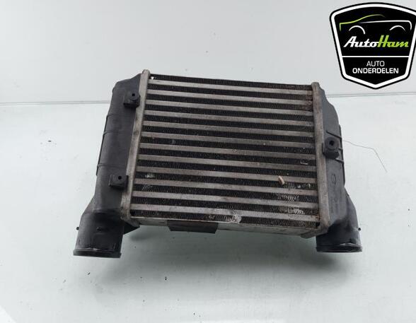 Intercooler AUDI A4 B7 Convertible (8HE), AUDI A4 (8E2, B6), AUDI A4 (8EC, B7)