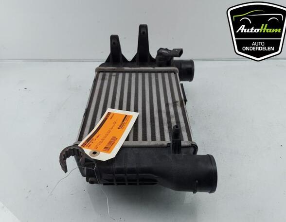 Intercooler AUDI A4 B7 Convertible (8HE), AUDI A4 (8E2, B6), AUDI A4 (8EC, B7)